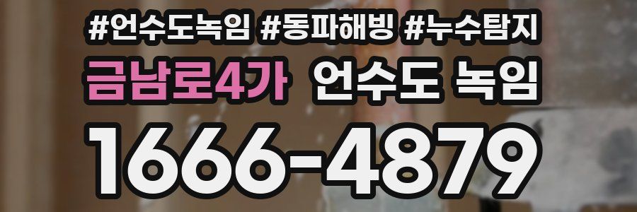 금남로4가 언수도 녹임