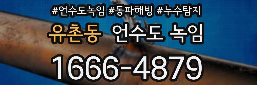 유촌동 언수도 녹임