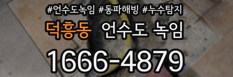 덕흥동 언수도 녹임