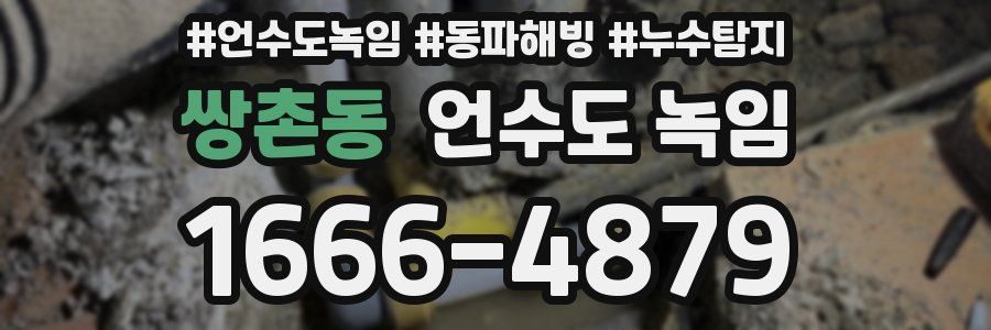 쌍촌동 언수도 녹임