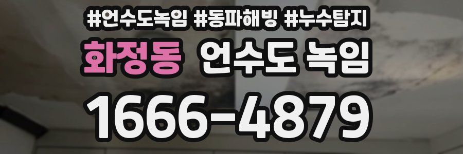 화정동 언수도 녹임