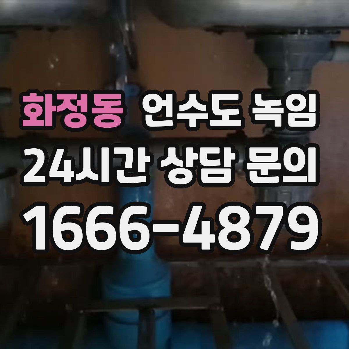 화정동 언수도 녹임