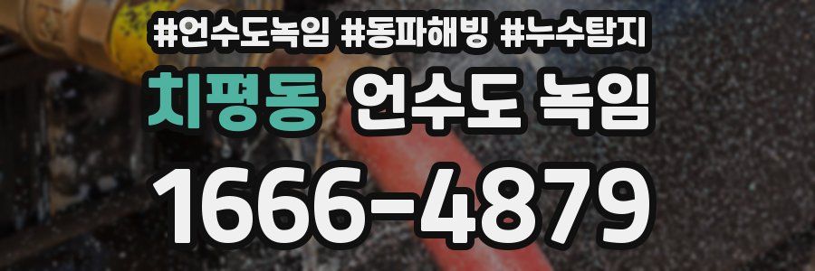 치평동 언수도 녹임