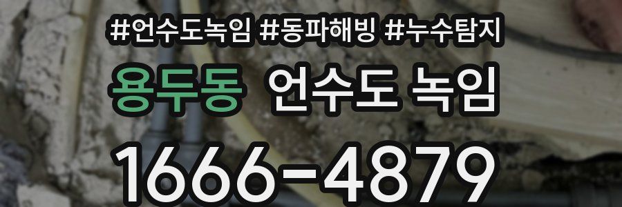 용두동 언수도 녹임