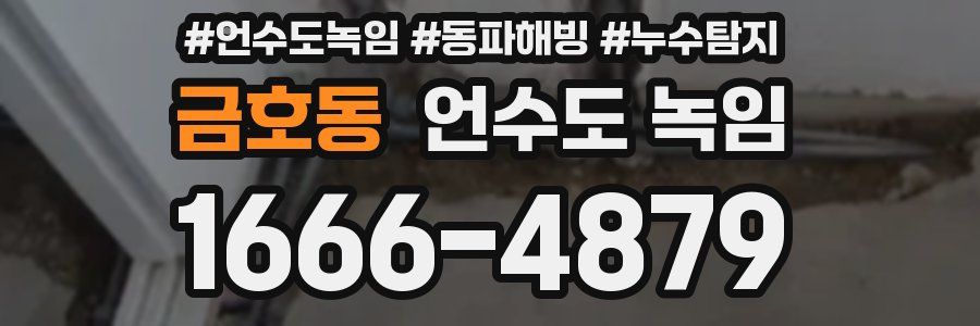 금호동 언수도 녹임