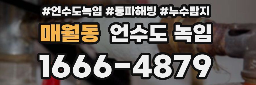 매월동 언수도 녹임