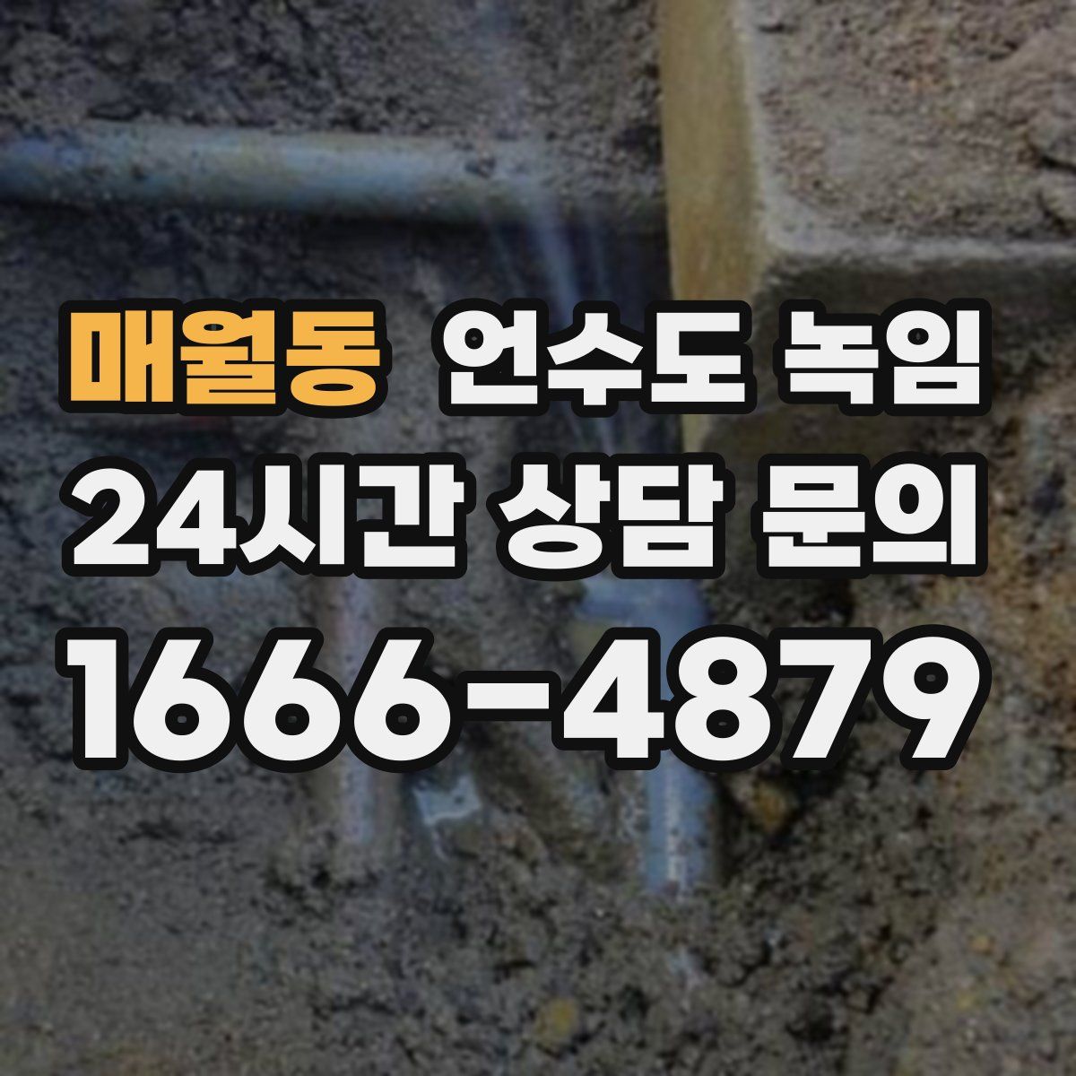 매월동 언수도 녹임