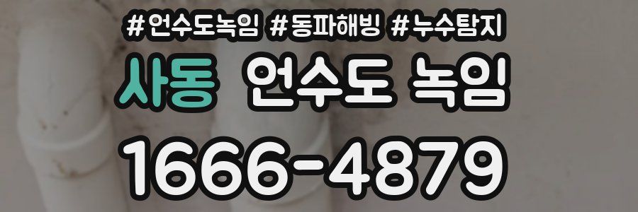 사동 언수도 녹임