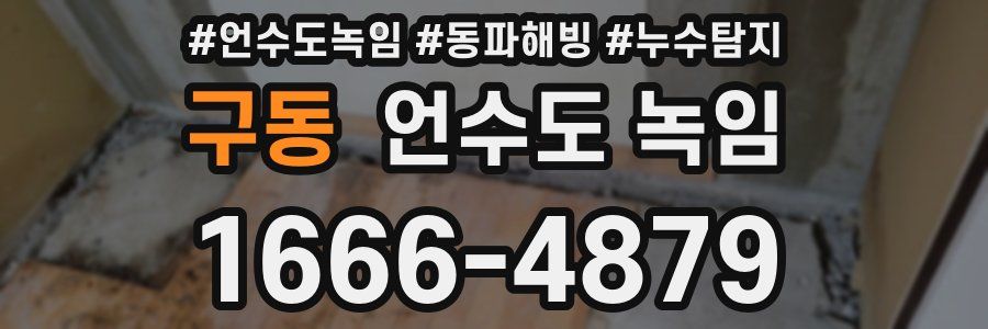 구동 언수도 녹임