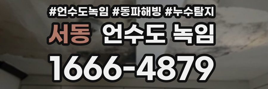 서동 언수도 녹임