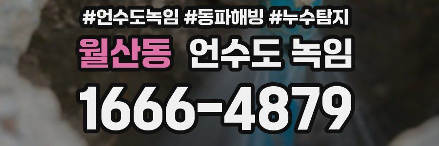 월산동 언수도 녹임