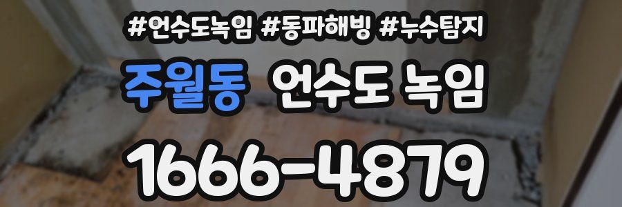 주월동 언수도 녹임