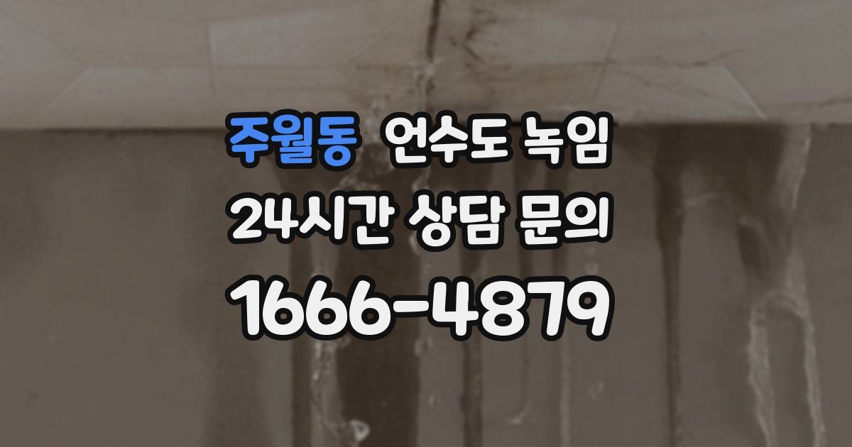 주월동 언수도 녹임