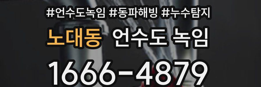 노대동 언수도 녹임