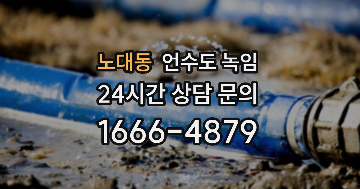 노대동 언수도 녹임