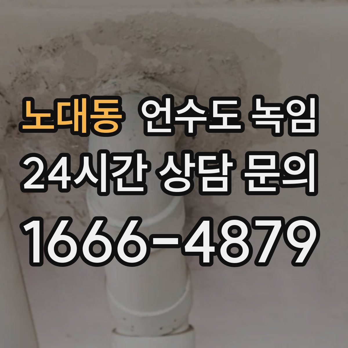 노대동 언수도 녹임