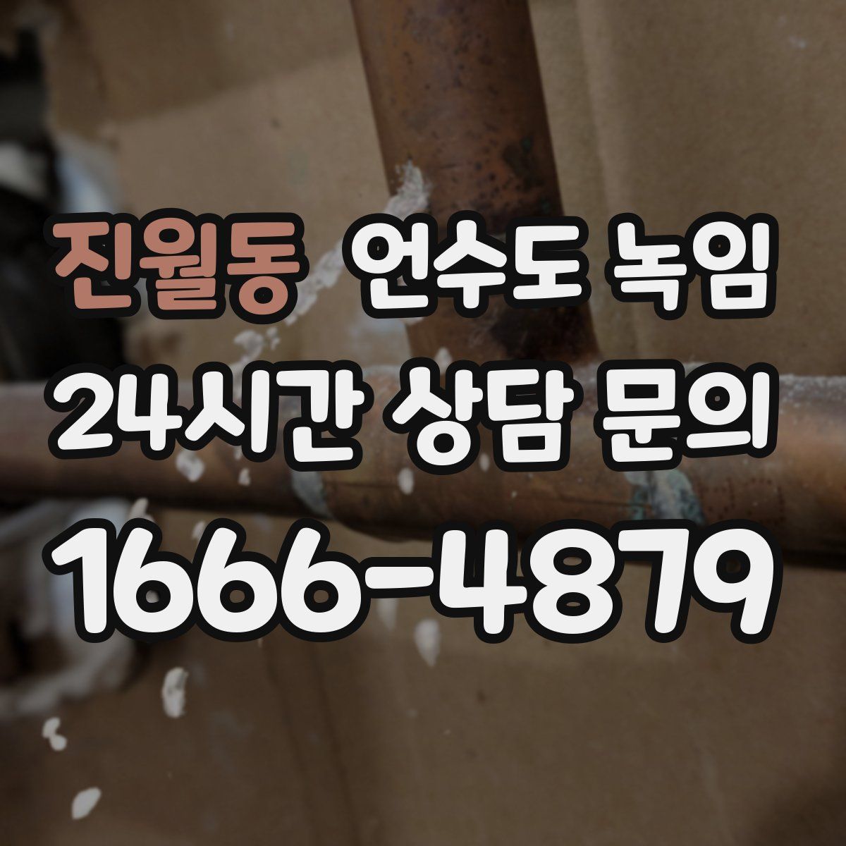 진월동 언수도 녹임