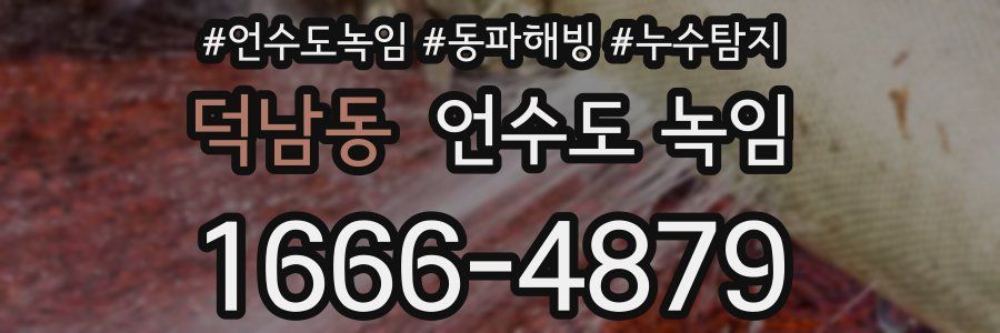 덕남동 언수도 녹임