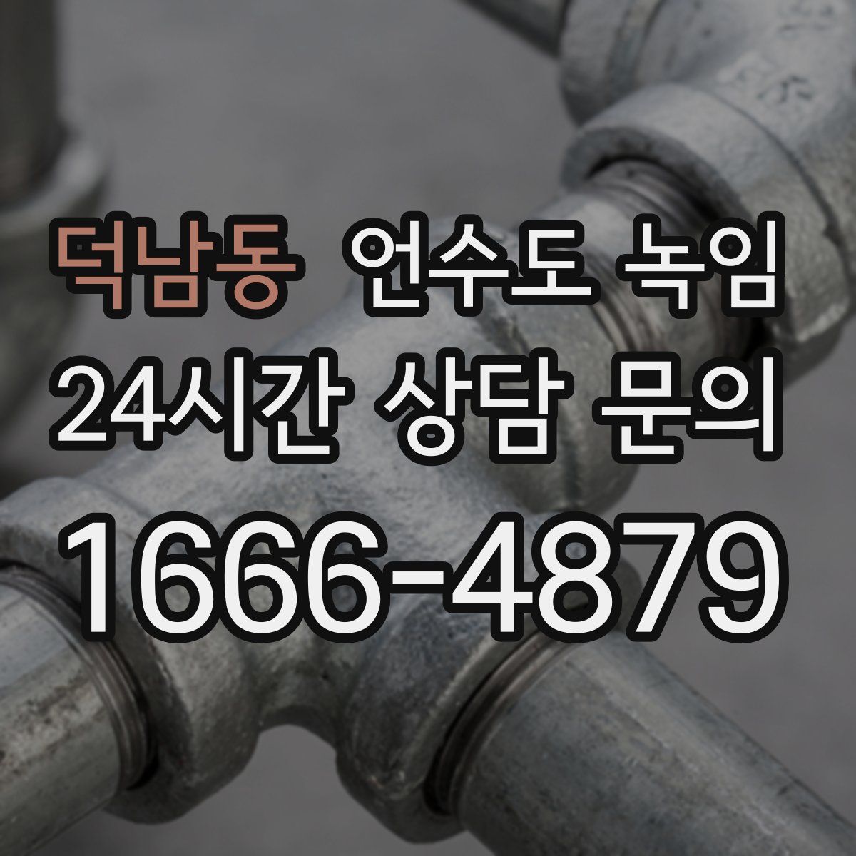 덕남동 언수도 녹임