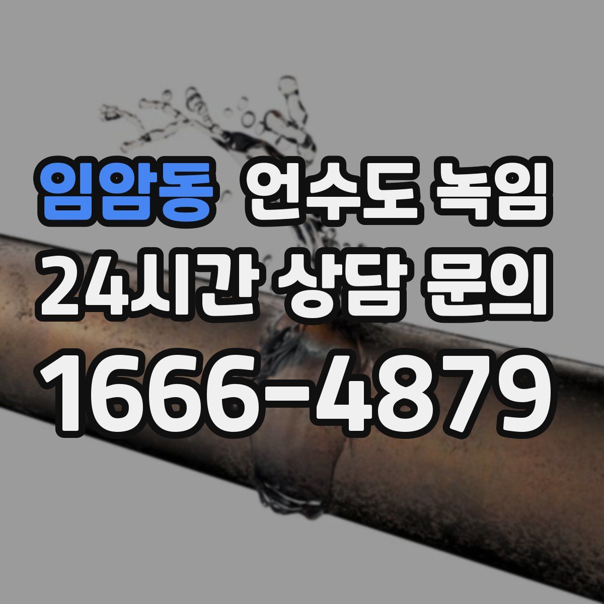 임암동 언수도 녹임