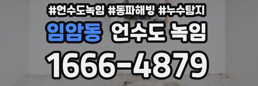 임암동 언수도 녹임