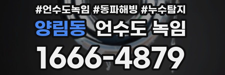 양림동 언수도 녹임