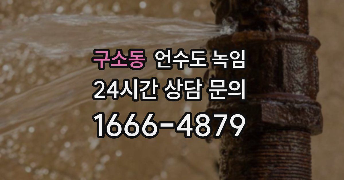 구소동 언수도 녹임