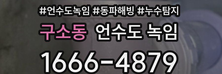 구소동 언수도 녹임