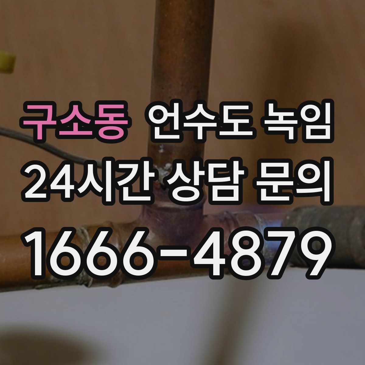 구소동 언수도 녹임