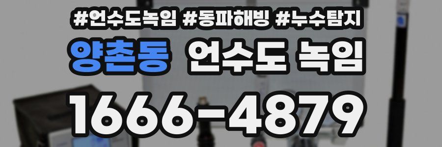 양촌동 언수도 녹임