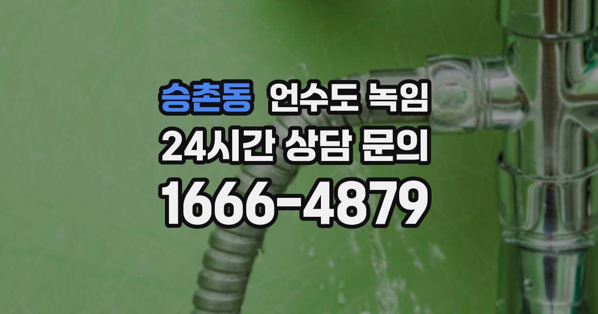 승촌동 언수도 녹임