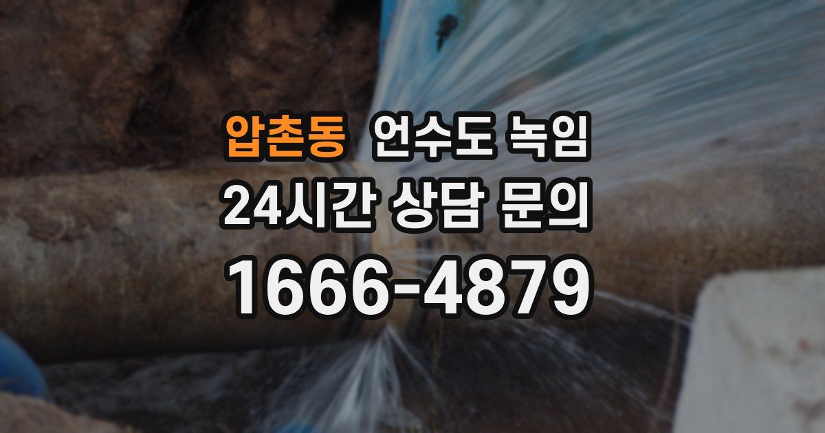압촌동 언수도 녹임
