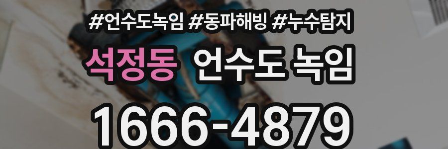 석정동 언수도 녹임