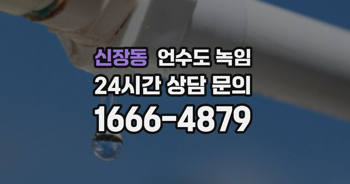 신장동 언수도 녹임