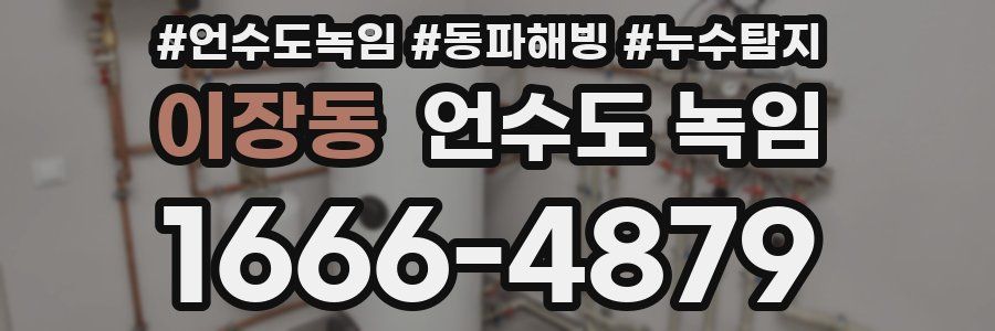 이장동 언수도 녹임