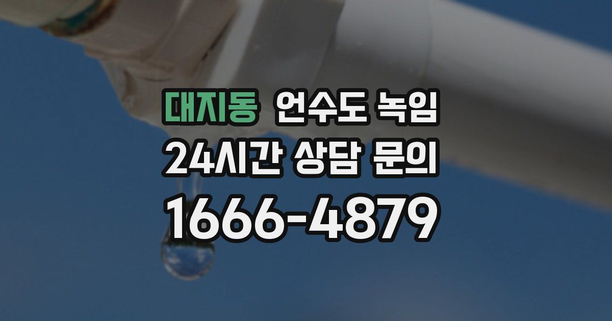 대지동 언수도 녹임