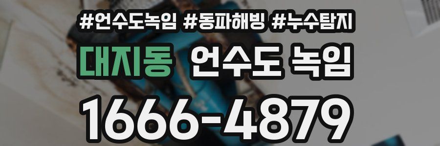 대지동 언수도 녹임