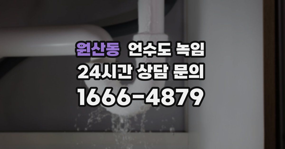 원산동 언수도 녹임