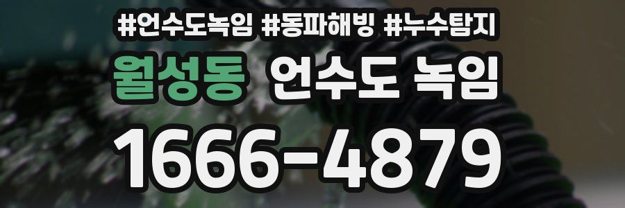 월성동 언수도 녹임