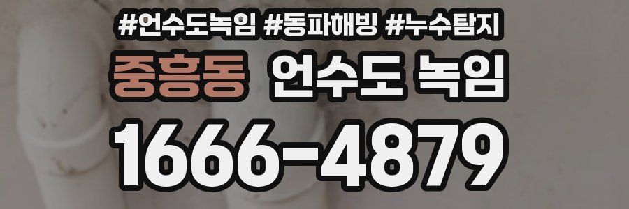 중흥동 언수도 녹임