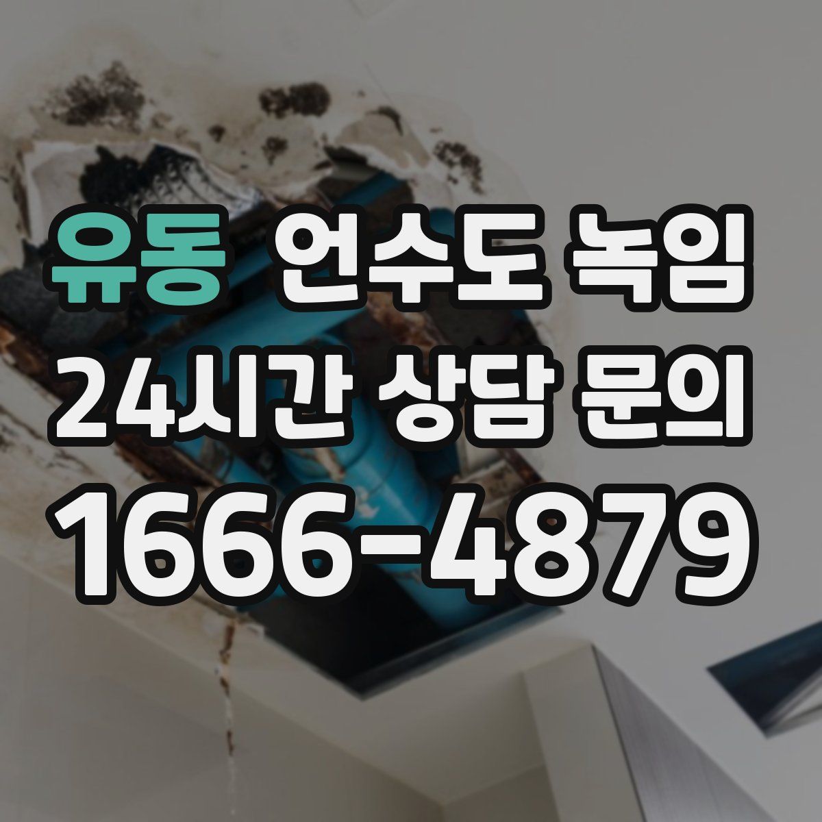 유동 언수도 녹임