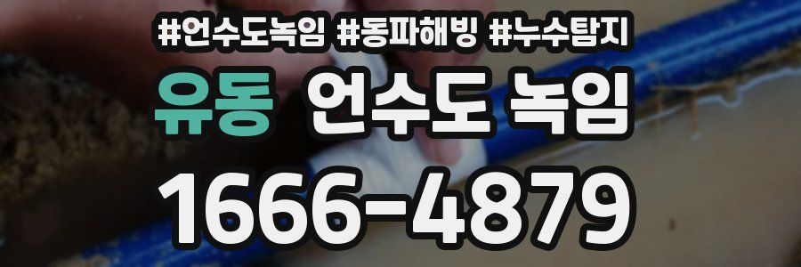 유동 언수도 녹임