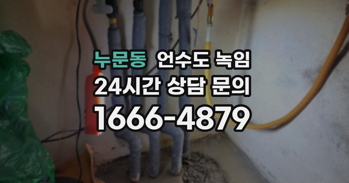 누문동 언수도 녹임