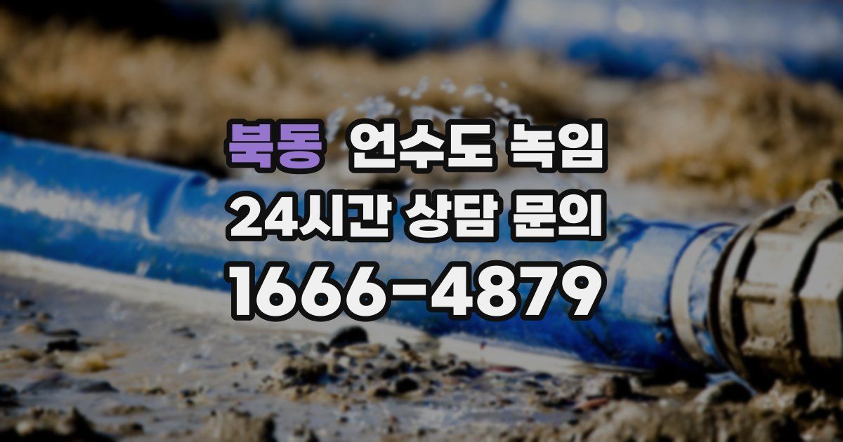 북동 언수도 녹임