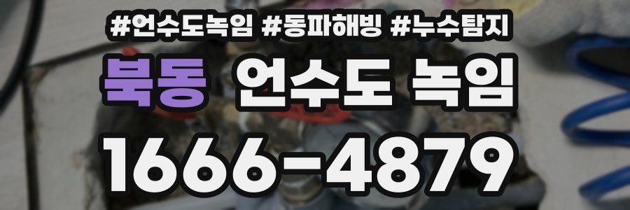 북동 언수도 녹임