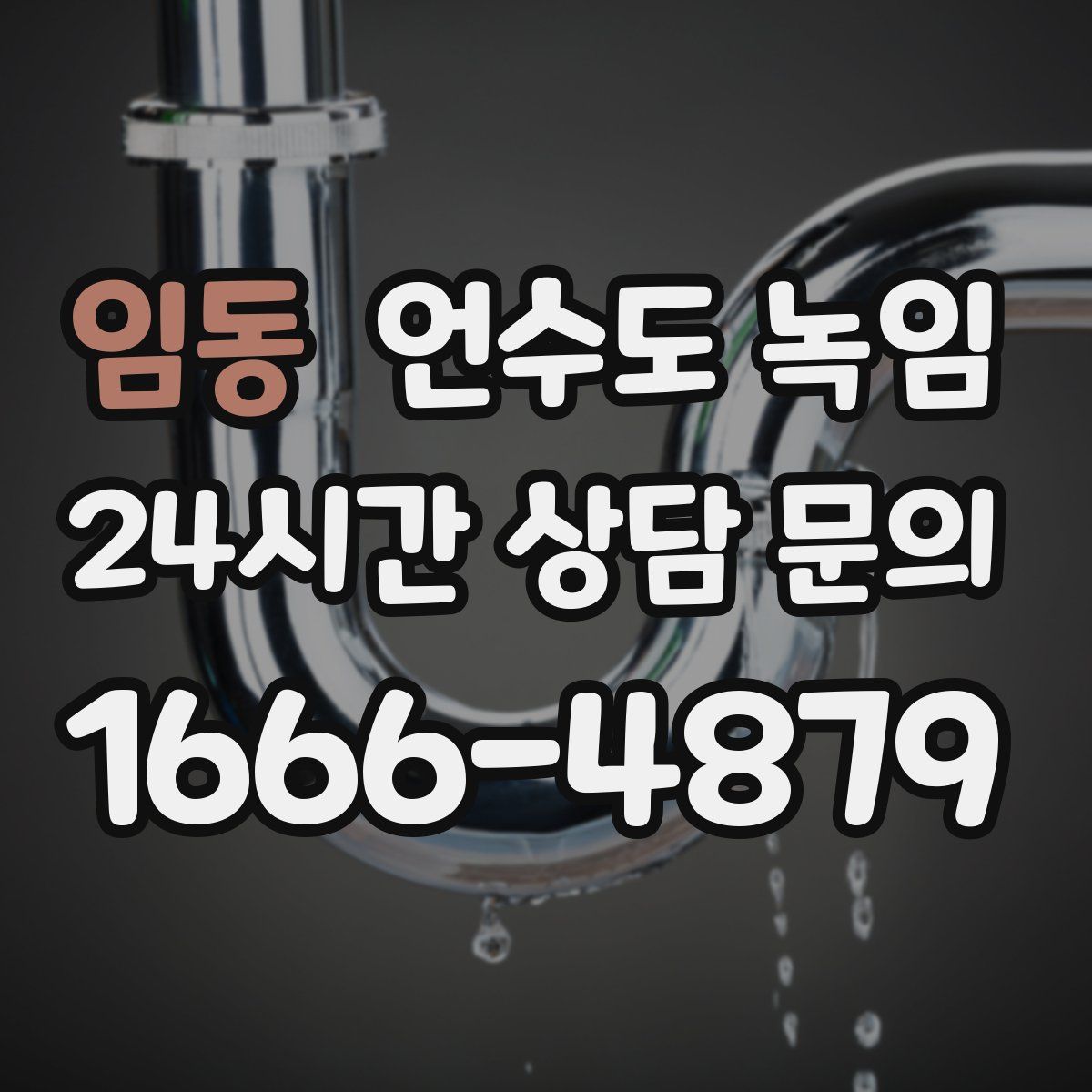 임동 언수도 녹임