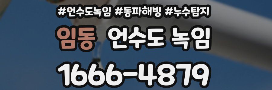 임동 언수도 녹임