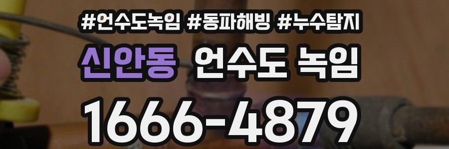 신안동 언수도 녹임