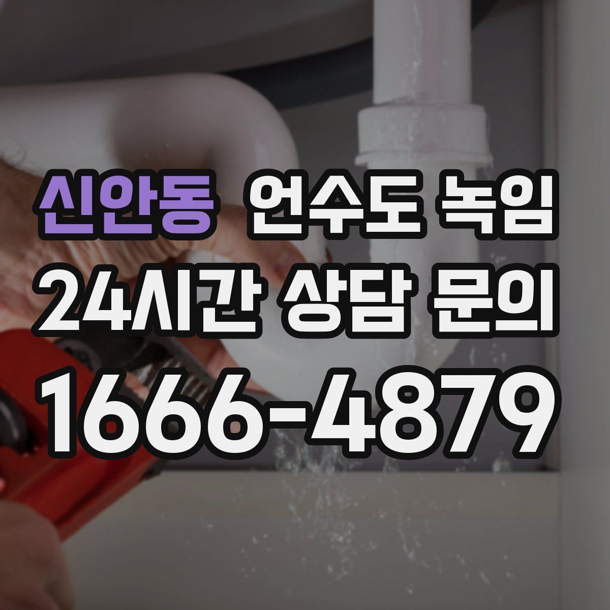 신안동 언수도 녹임