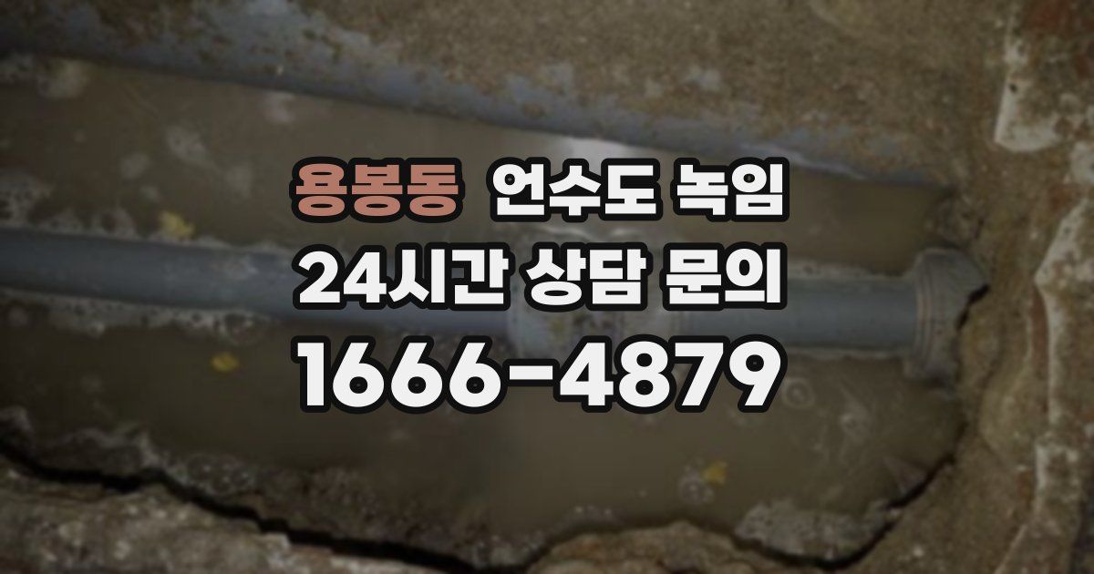 용봉동 언수도 녹임